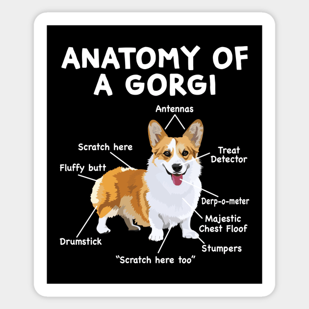 Anatomy of a Corgi Sticker by Wakzs3Arts